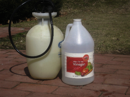 pure and simple vinegar